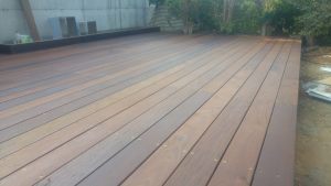20161111_135033 (Medium)